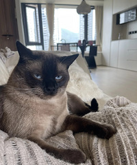 [�ɰ�]������С���������С���ޣ�����2���14�������