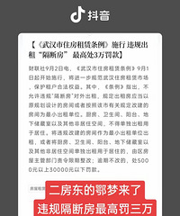 ������ج�Σ��人Υ����Ϸ���߷�3���������������ƹ���