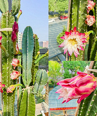 һ������Ҹ�����������߿�����