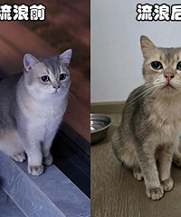 è�䶪��һ���¶���Ƥ�����ˣ����»����ˣ���ʵ�˰�