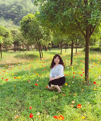 85���г��з���С������飬�������������ʿ