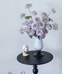 [����]�����ܴ�������ϻ�԰õ�壬45Ԫ2��20֦��������