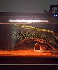 94175CMҵС飬ϲ羺Ἢӹ