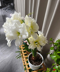 �����׺�������7���������9�¾Ϳ�����