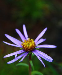 90갮Լݺ¶Ӫĸ飬ϣԷ87~95