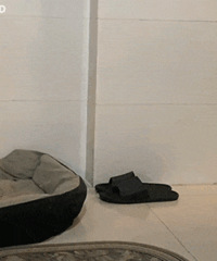 ������ֵ���򡿱�����������ɴ�9��14��ޢ˹͡��ԡ¶2ƿ38