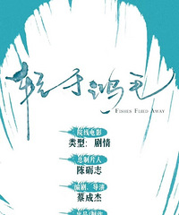 《轻于鸿毛》简介有意思