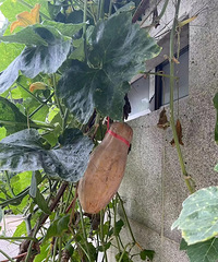 �ֵ��Ϲϱ�͵�ˣ�ҵ��Ⱥ�²ۺ��Ϲ��Լ�������