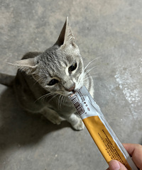 è���̺�Ϳ�������Ǹ����滹�Ǹò�Ӫ��