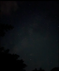 ��Ҫ��Ҫͬ��ȥ������Ұ�ķ磬��̤����һ�����Ե�¶Ӫ֮��