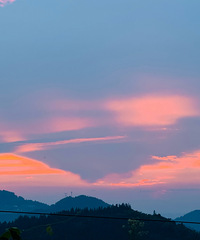 ҪҪͬȥҰķ磬̤һԵ¶Ӫ֮