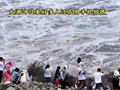 大潮来了还拍照