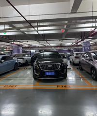 ��ʱ������������������Կ��а������ֽŲв���ͣ