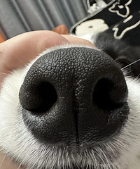 [����]���������Ǹ����̹�����ͼ�������ϵ��̲�ȣ��Ͳ����