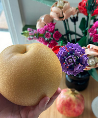 ���������̫����