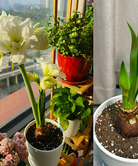 7����İ���������9�¾Ϳ�����