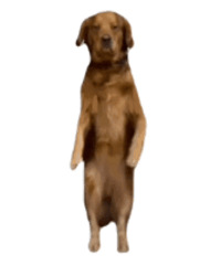 ������ֵ����nasa��������29����ԭ��ˮ���۵�Һ29