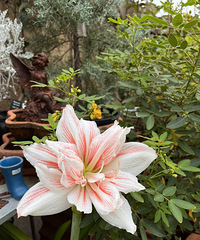 ��æ����������ʲôƷ�ֵ��춥��ѽ��ͻȻ�Ϳ���