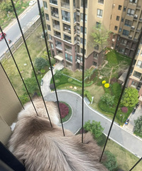 �����ʼ�����С������è�����ѣ����������̨����ôװ���ʣ�