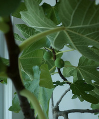 [����]28Ԫ�������޻����磬������û��кö���ӣ�ֵ̫��