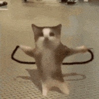 ������ֵ��������4��3ҹ���а�29�����ʫ�����Ĥ147