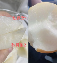 ����������ԭ�������ζ������ǰ�׳���