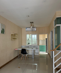 �Ӵ�̩������������ÿ�춼�����Σ����������̵����