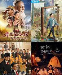 电视剧飞天奖入围作品名单