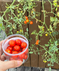 [ץ��]ͬ���ֵ�С���Ѳ����ˣ��ϰ��õ�����ư���С͵��Ȼ���