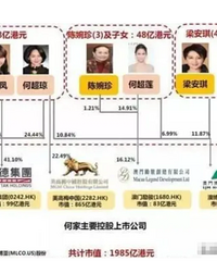 赌王四太名下有679套房产