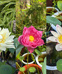 40�ȸ����£�3����������������