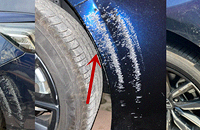 ��λ��ʲô�ð취�����𣿳�ͣ�ڳ��ⱻ��ҧ��