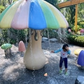 这里免费玩水太好耍
