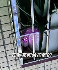 请大家帮忙判断一下,对面这个摄像头是对着我家吗