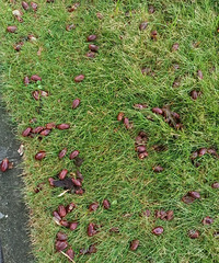 ·���̻����������ض����棬�̲�ס�������