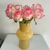 9.9��©�Ļ�ƿ�ÿ�