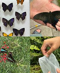 ��԰��ת�ƣ�����һЩ�������걾