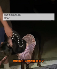 [Ц��]�����ӳ����ַ��֣��ʹ���˭������Ȼת�������˺���