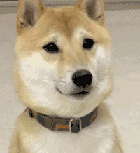 ������ֵ���򡿰�˹������ԡ¶29��Tims����28��32