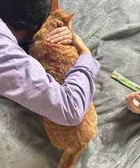 �����ˣ�������죬���ǵ�è����û��Ŷ