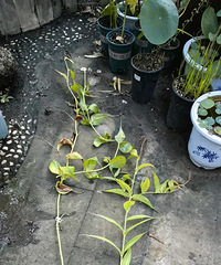 �����ٺ�2������һ����6������̫��ϲ��