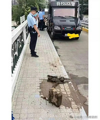 ��������͵�����������ھ�Ȼ͵���ڱ�������������