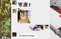 ͬ��¶̨�ֵ�С����Ī�������ˣ��ϰ��õ�����ư�