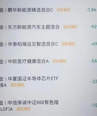 姐妹们的基金亏了赚了多少啊?我总共就买了3万,就赔了1万3