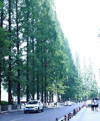 ������壬�Լ����پ����Ĵ���С�ڱ���·��