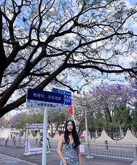 93��163CM˫ѧλ�Ĳ����������飬ϣ���Է����Ƽ�����