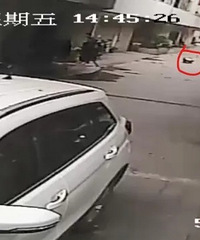 女童被车撞死,车主不服全责认定