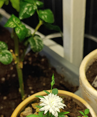 89170CMˮҵĸ飬ϣԷ86~93