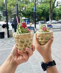中秋冒着台风杭州游