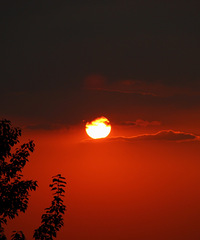 90갮Լݺ¶Ӫĸ飬ϣ87~95